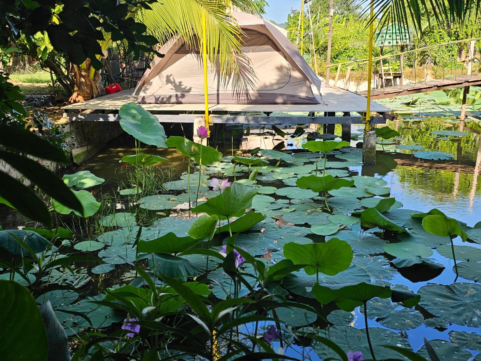 Homestay Sen & Zen Villa Vũng Tàu Exteriér fotografie