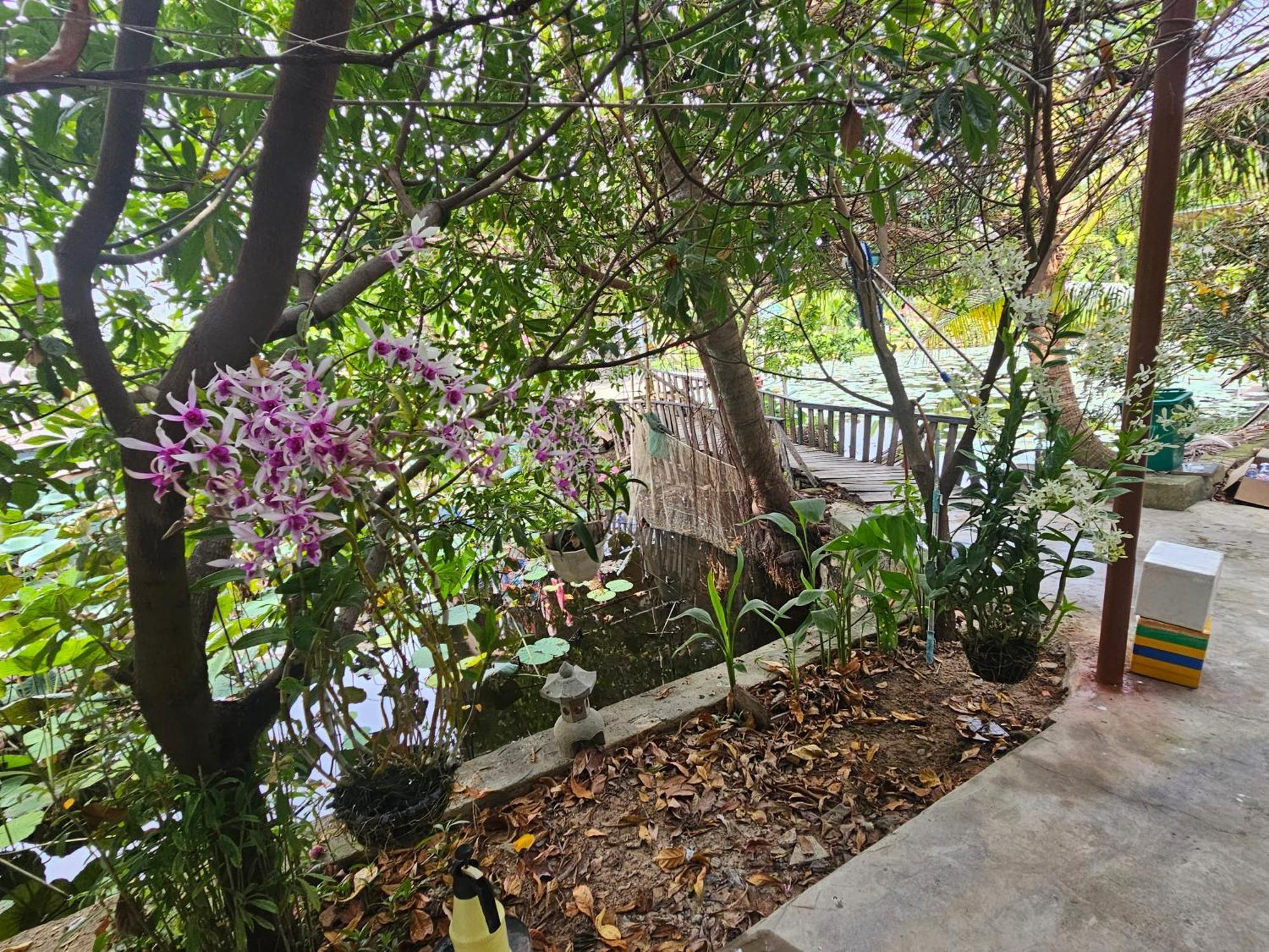 Homestay Sen & Zen Villa Vũng Tàu Exteriér fotografie